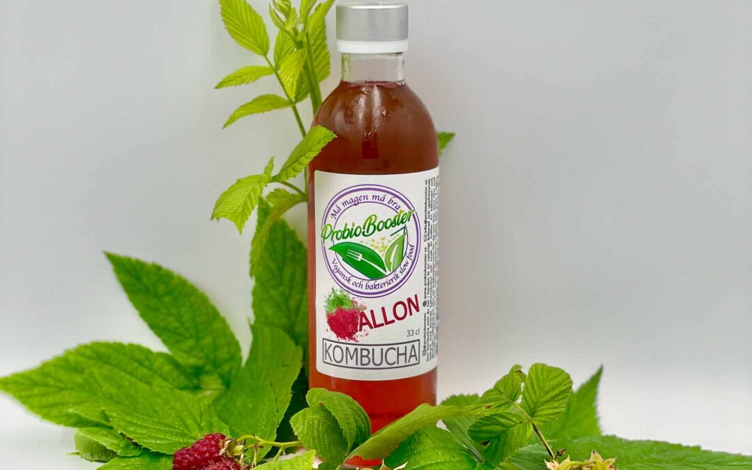 Vad är Kombucha?