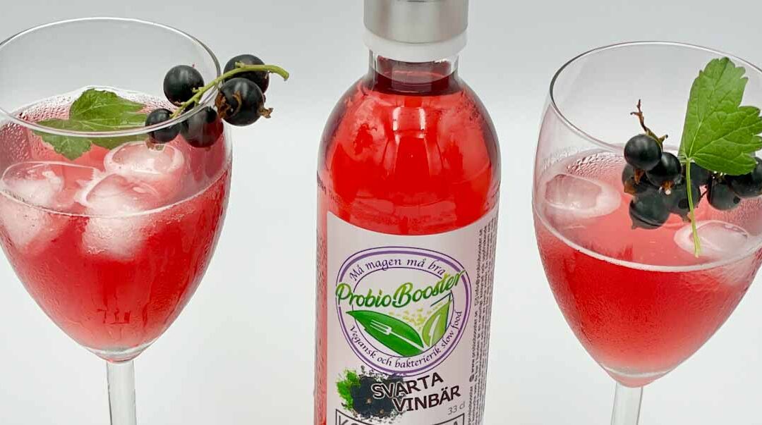 Hur tillverkas kombucha?